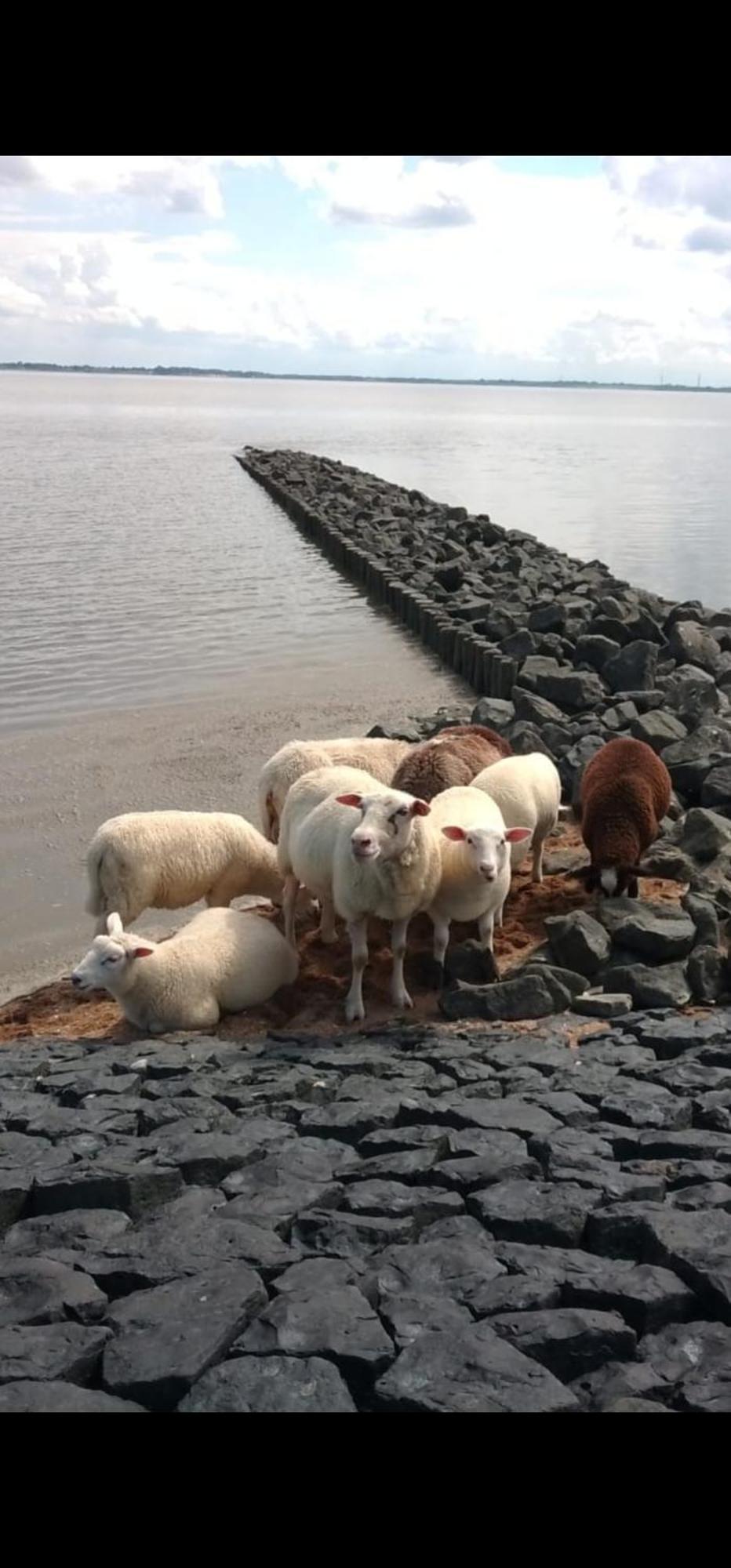 Am Alten Siel Wilhelmshaven Kültér fotó